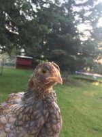 06811528-6B7E-4499-8EC8-D0557EB5DF93.jpeg