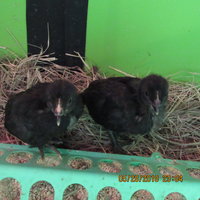 IMG_1828.JPG