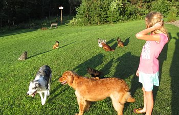 freerange005.jpg freerange005.jpg