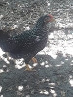 20180529_142814.jpg