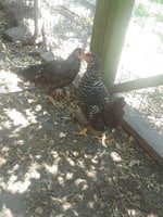 20180529_143000.jpg