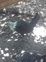 20180529_142627.jpg