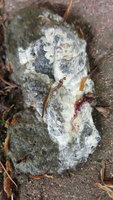 20180530_113927.jpg 20180530_113927.jpg
