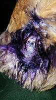 20180525_130914.jpg 20180525_130914.jpg