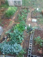 20180530_170949.jpg