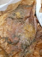 20180530_121731.jpg