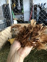 BD5F7B4D-D683-49C8-B839-834CE0F12CF7.jpeg