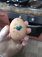 IMG_20180531_073736422.jpg