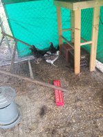 20180529_131440.jpg
