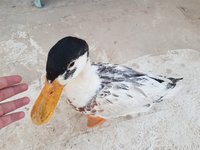 20180531_184558.jpg