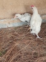 20180531_183531.jpg