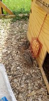 20180531_144235.jpg