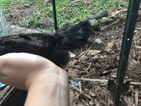 95A6C595-76AC-4389-8AEF-C2207C1156BD.jpeg