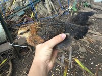 89714C3E-4AE7-452C-9038-EE369BB23E47.jpeg