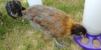 20180531_161616.jpg