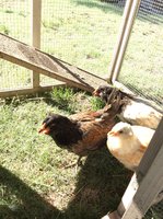 F3D868AB-6315-45BE-9DF2-D40927D00E9F.jpeg