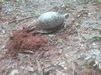 20180531_194246.jpg