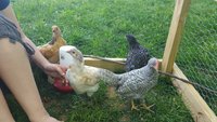 20180509_151511.jpg