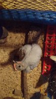 IMG_20180525_200749914.jpg