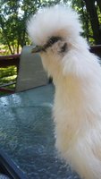 download_20180601_155907.jpg