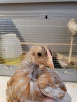 20180601_180947.jpg