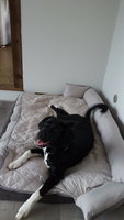 20180601_195146_001.jpg
