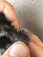 CE713365-E8D7-4B3D-9D9A-4527C7A6C653.jpeg