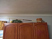WP_20180602_12_33_05_Pro.jpg