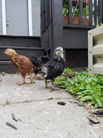 20180602_100855.jpg
