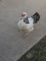 20180602_174809.jpg