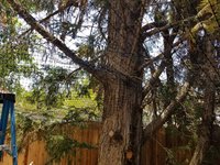 20180602_132759.jpg