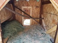 20180602_132904.jpg