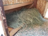 20180602_132913.jpg