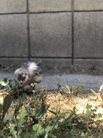 CCE995F4-B710-478E-91B2-00C314CEC9E7.jpeg CCE995F4-B710-478E-91B2-00C314CEC9E7.jpeg