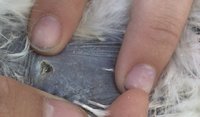 IMG_0944.JPG