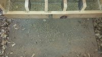 feeder-16.jpg