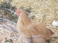 20180603_122146.jpg