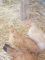 20180603_122122.jpg
