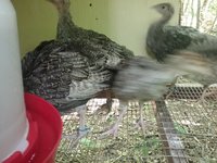 20180603_142956.jpg