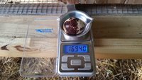 20180525_175946.jpg