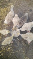 20180528_174130.jpg