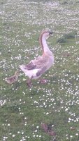 20180525_155611.jpg