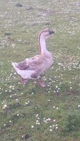 20180525_155605.jpg
