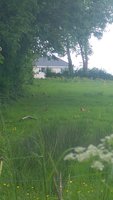 20180528_150848.jpg