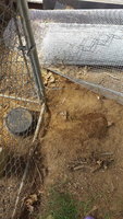 20180603_143220.jpg