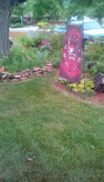 IMG_20180603_152657.jpg