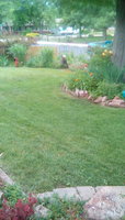 IMG_20180603_152640.jpg
