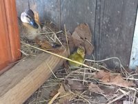 WP_20180604_06_31_48_Pro.jpg