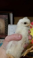 20180603_103326.jpeg