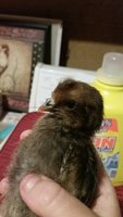 20180603_130501.jpeg